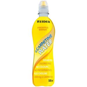 Weider L-carnitine Water 500 Ml Frutti Misti