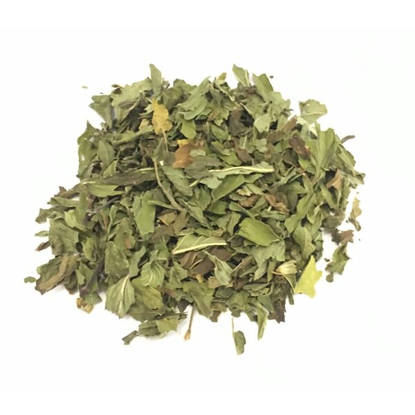 antica farmacia orlandi menta piperita foglie monde taglio tisana 100 gr