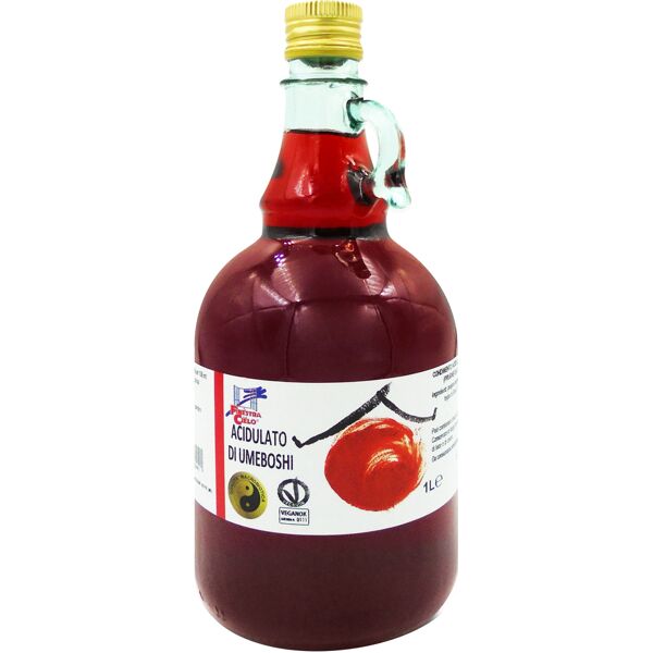 biotobio srl fsc acidulato umeboshi 1lt