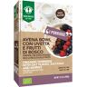 PROBIOS bio avena bowl frutti di bosco porridge con avena integrale 400 g