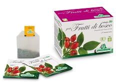 BIO + Infuso Bio Frutta Bosco 20Filt