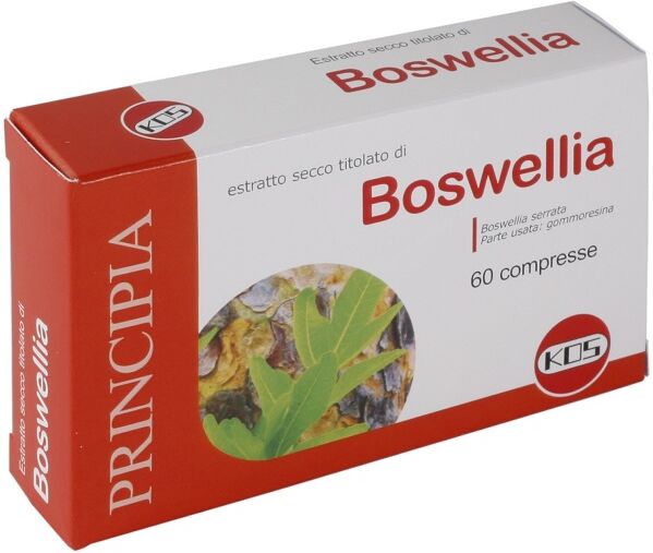 KOS Boswellia es.sec 60cpr 24g