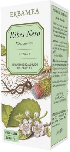 ERBAMEA Ribes nero 50 ml