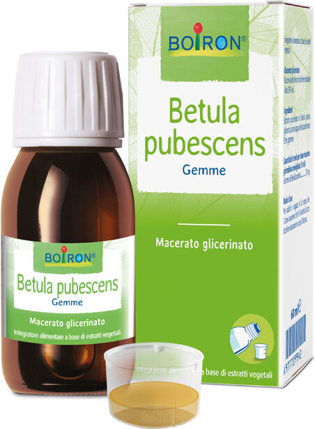 BOIRON Bo.betula pub.mg i 60ml