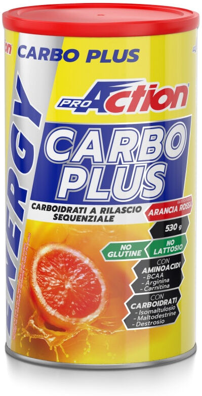 PROACTION Carbo Plus Energia 530 Grammi Arancia