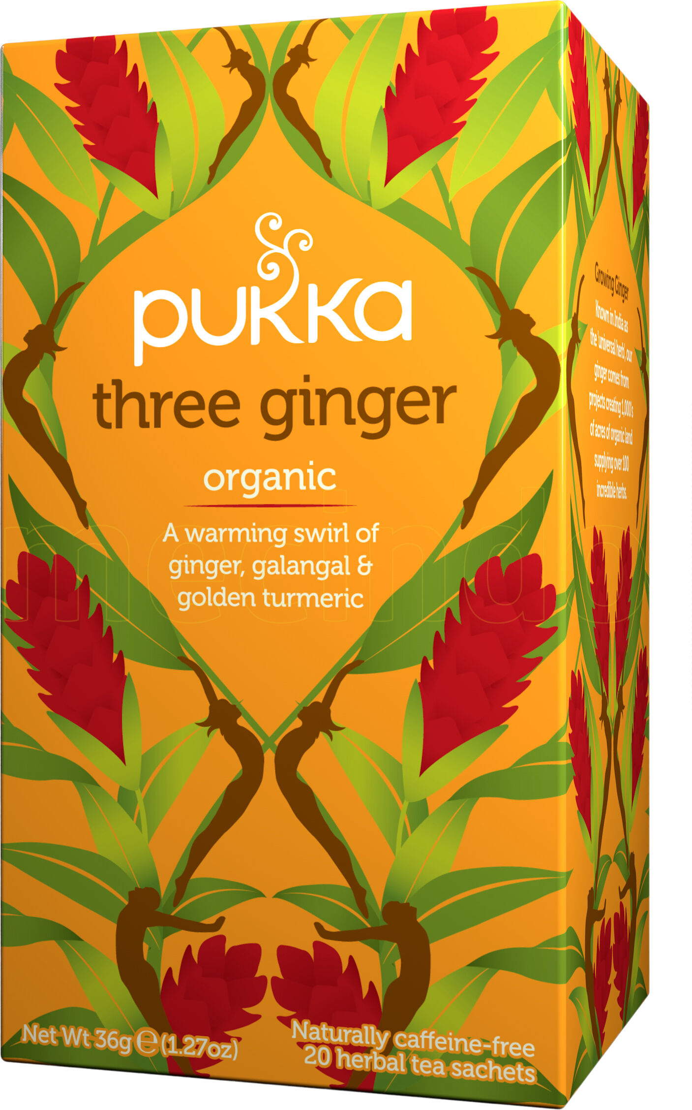 Pukka Three Ginger Te - 20 Poser