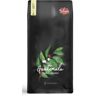 Kawa ziarnista COFFEE PLANT Gwatemala Finca El Duranzo 1kg