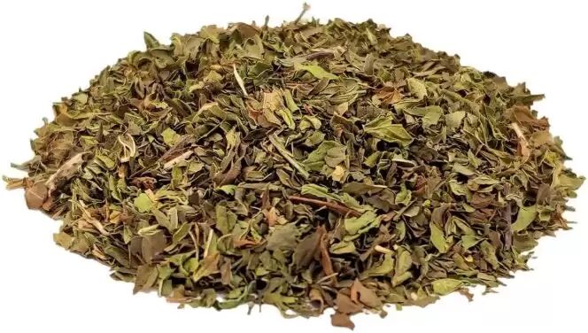 Chás do Mundo ® Menta Fresca, Folhas (Mentha spicata) - Biológica