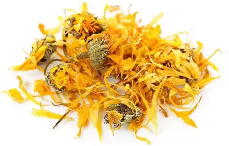 Chás do Mundo ® Calêndula flor (Calendula officinalis L.)