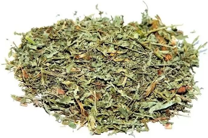 Chás do Mundo ® Losna Absinto, Planta (Artemisia absinthium L.)