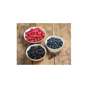 Large Mixed Berry Punnet, Organic (700g)