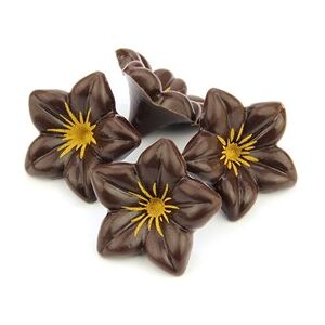 Make, Bake & Decorate Dark chocolate flowers - Bulk case of 76