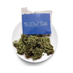 A-Yellow Star 2,5gr