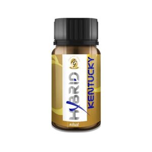 ANGOLO DELLA GUANCIA ADG HYBRID KENTUCKY Aroma concentrato 10 ML Tabacco Kentucky