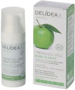 Santiveri DELIDEA BIO CREMA FACIAL PURIFICANTE 50ml