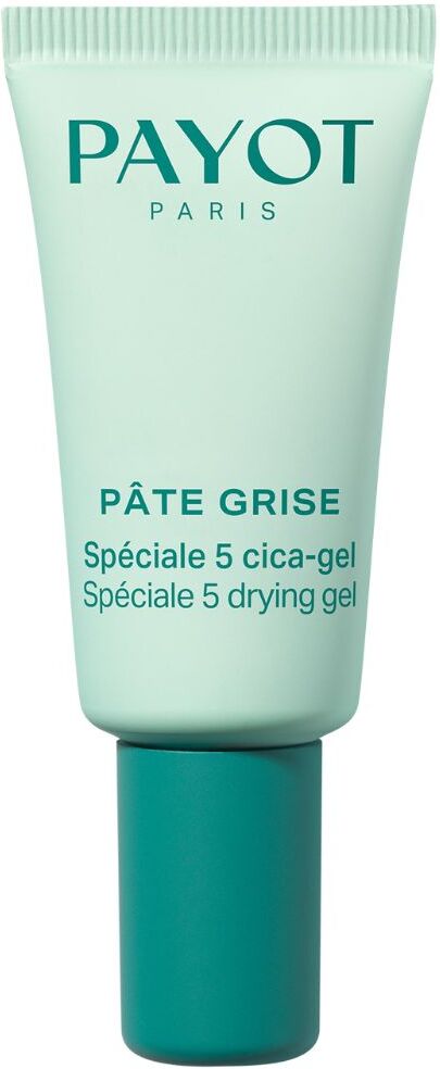 Payot Pâte Grise Spéciale 5 Gel Secante Antimanchas 15mL