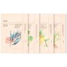 Ondo Beauty 36.5 Beauty masks pack