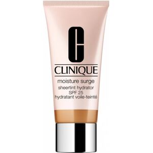 Clinique Moisture Surge Sheertint Tinted Day Cream SPF 25