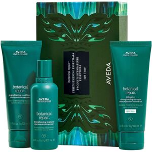 Aveda Botanical Repair Strengthening Essentials Light Set (300 ml)