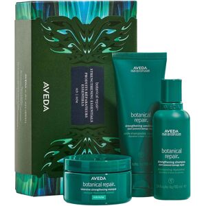 Aveda Botanical Repair Strengthening Essentials Rich Set (300 ml)