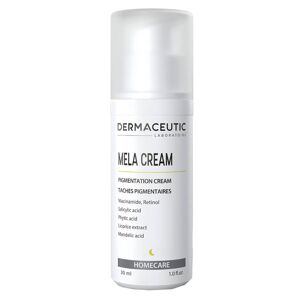Dermaceutic Mela Cream Pigmentation Cream (Stop Beauty Waste) 30 ml