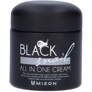 Mizon Black Snail All in One Cream 75 ml