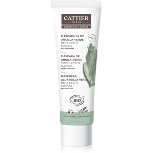 Arcilla purificante Mascarilla De Arcilla Negra de Cattier 100 ml