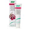 A. Vogel Crema Symphytum 35g