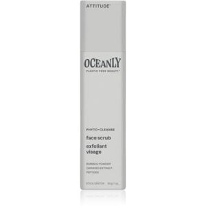 Oceanly Face Scrub gommage exfoliant solide visage 30 g