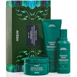 Aveda Botanical Repair Strengthening Essentials Rich cofanetto regalo - Publicité