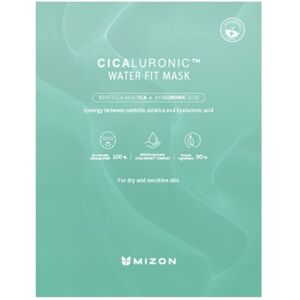 Mizon Masque hydratant & apaisant Cicaluronic Mizon 24g