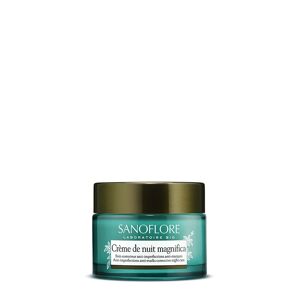 Sanoflore Creme de Nuit Matifiante Anti-Imperfections