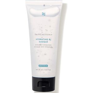 SkinCeuticals Hydrating B5 Masque