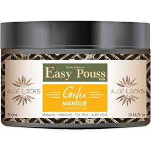 Gelee Mangue Aloe Locks Easy Pouss