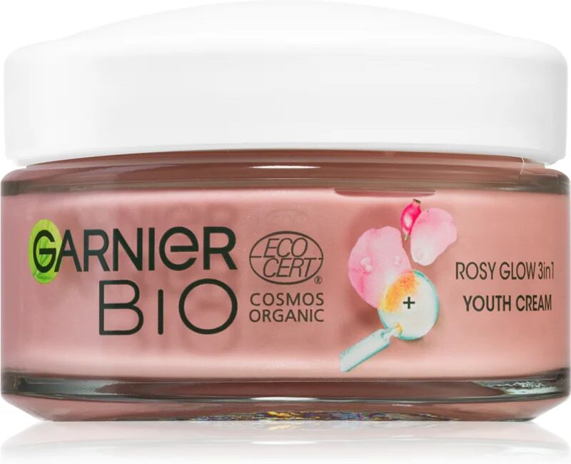 Garnier Organic Rosy Glow Day Cream 3 in 1 50 ml