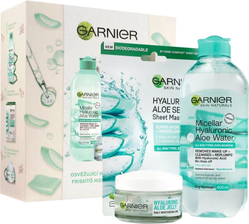 Garnier Skin Naturals Hyaluronic Aloe Gift Set (for Normal and Combination Skin)