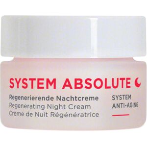 ANNEMARIE BÖRLIND SYSTEM ABSOLUTE Crema notte rigenerante KENNENLERNGRÖSSE 15 ml