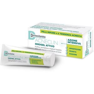 DERMOVITAMINA Acneclin Idrogel Attivo Azione Intensa 40 Ml