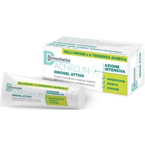 Pasquali Dermovitamina Dermovitamina Acneclin Idrogel Attivo 40ml