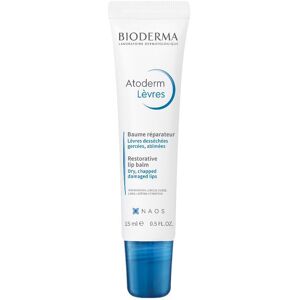 Bioderma Italia Atoderm Levres Baume 15 Ml