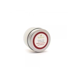 potentilla Creme viso Crema viso Antirughe 15 ml