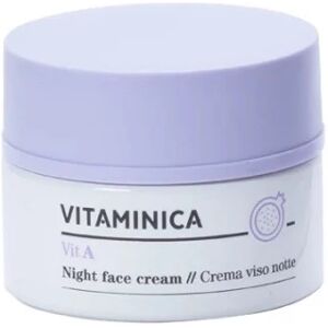 bioearth Creme viso Vitaminica Crema Viso Notte Vit. A