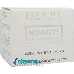 Noagy Balsamo Labbra Idratante Rigenerante Anti Aging 15 ml