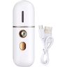 gluttonous Portable Facial Steamer, USB Facial Humidifier, Facial Sprayer, Machine