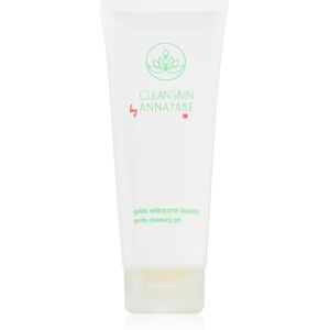 Annayake CleanSkin Gentle Cleansing Gel facial cleansing gel for perfect skin cleansing 100 ml