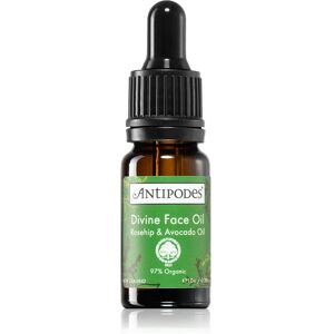 Antipodes Divine Face Oil Rosehip & Avocado Oil protective serum to treat the first signs of skin ageing 10 ml