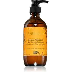 Antipodes Gospel Vitamin C Skin-Glow Gel Cleanser brightening gel cleanser with vitamin C 200 ml