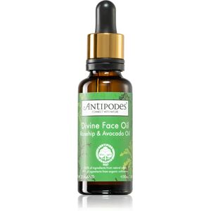 Antipodes Divine Face Oil Rosehip & Avocado Oil protective serum to treat the first signs of skin ageing 30 ml