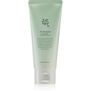 Beauty Of Joseon Green Plum Refreshing Cleanser gentle exfoliating foaming cream with moisturising effect 100 ml