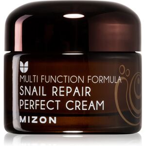 Mizon Multi Function Formula Snail face cream with snail secretion filtrate 60% 50 ml